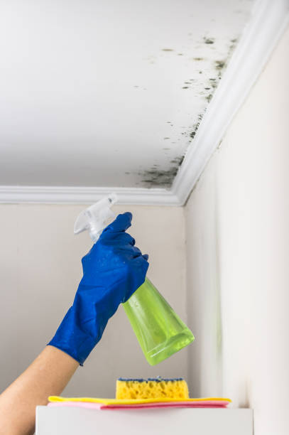 Sweetwater, TN Mold Remediation Company